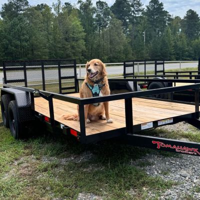 max black tandem utility trailer